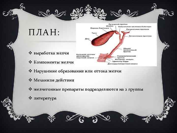 ПЛАН: v выработка желчи v Компоненты желчи v Нарушение образования или оттока желчи v