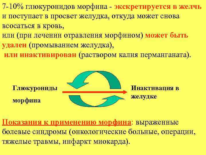 7 -10% глюкуронидов морфина - экскретируется в желчь и поступает в просвет желудка, откуда