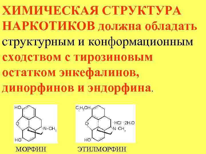 ХИМИЧЕСКАЯ СТРУКТУРА НАРКОТИКОВ должна обладать структурным и конформационным сходством с тирозиновым остатком энкефалинов, динорфинов