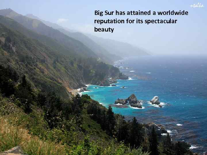 Big Sur has attained a worldwide reputation for its spectacular beauty 