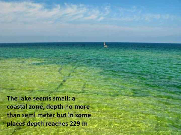 The lake seems small: a coastal zone, depth no more than semi meter but