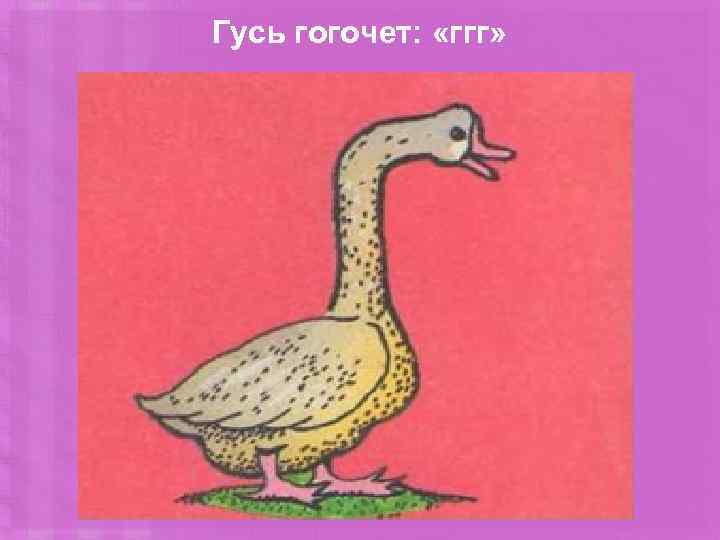 Гусь гогочет: «ггг» 