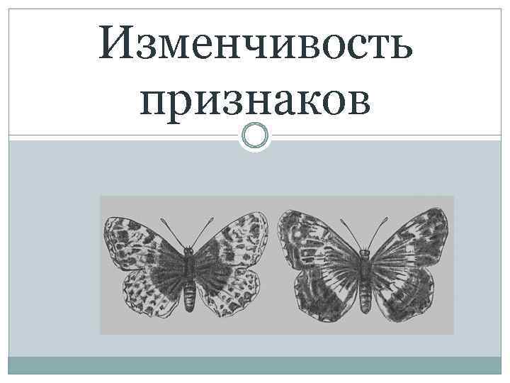 Изменчивость признаков. Географическая изменчивость. Эмблема изменчивости. Клинальная изменчивость. Географическое изменчивость признаков.