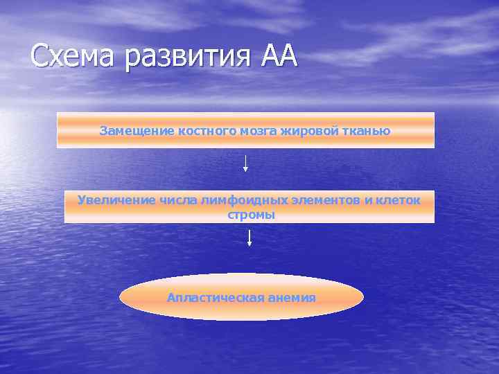 Схема развития АА Замещение костного мозга жировой тканью Увеличение числа лимфоидных элементов и клеток