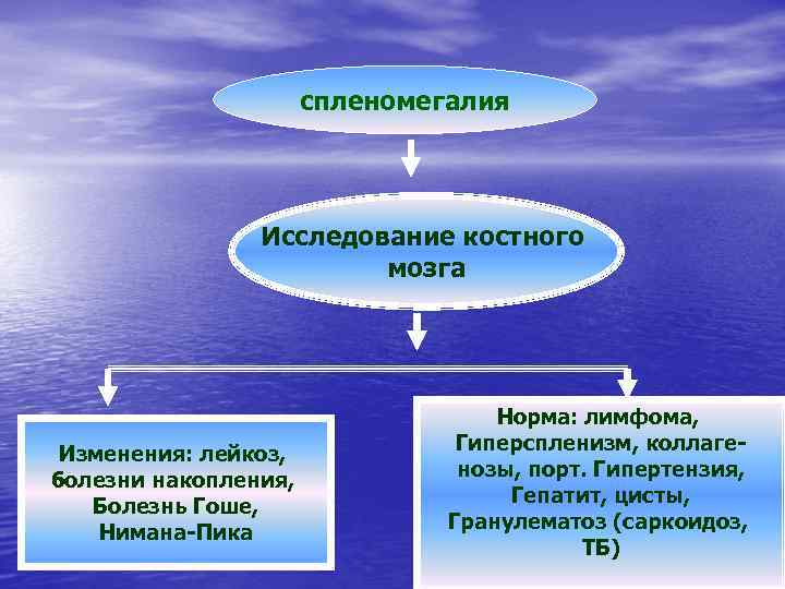 спленомегалия Исследование костного мозга Изменения: лейкоз, болезни накопления, Болезнь Гоше, Нимана-Пика Норма: лимфома, Гиперспленизм,