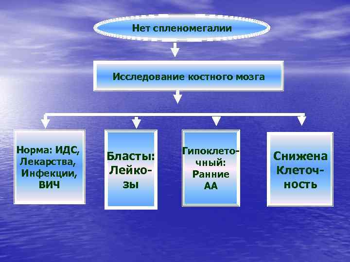 Нет спленомегалии Исследование костного мозга Норма: ИДС, Лекарства, Инфекции, ВИЧ Бласты: Лейкозы Гипоклеточный: Ранние