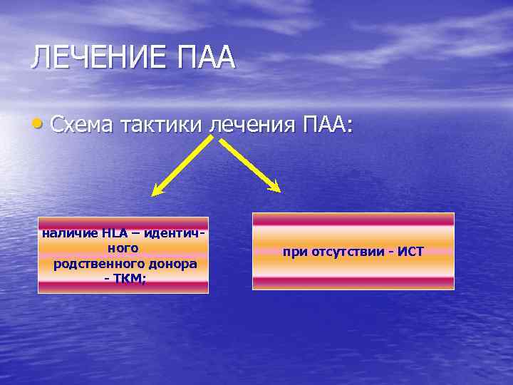 ЛЕЧЕНИЕ ПАА • Схема тактики лечения ПАА: наличие HLA – идентичного родственного донора -