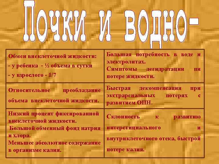 Обмен внеклеточной жидкости: - у ребенка - ½ объема в сутки - у взрослого