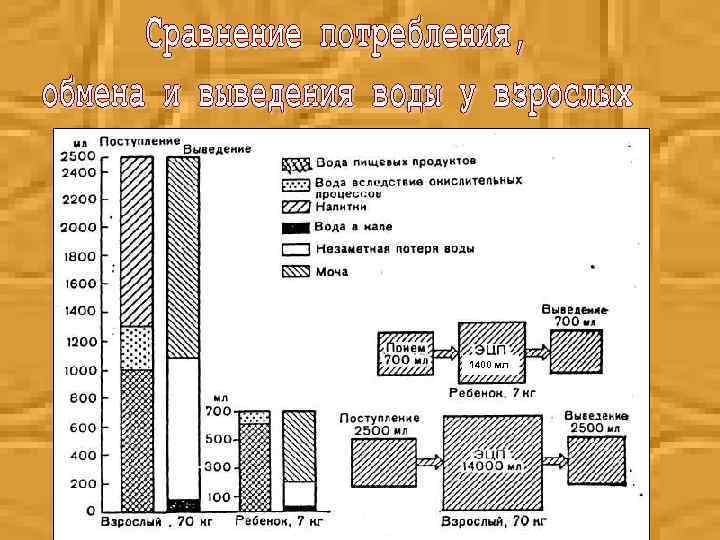 1400 мл 