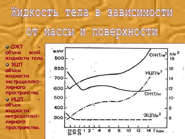 ОЖТ – объем всей жидкости тела ЭЦП – объем жидкости экстрацеллюлярного пространства ИЦП –