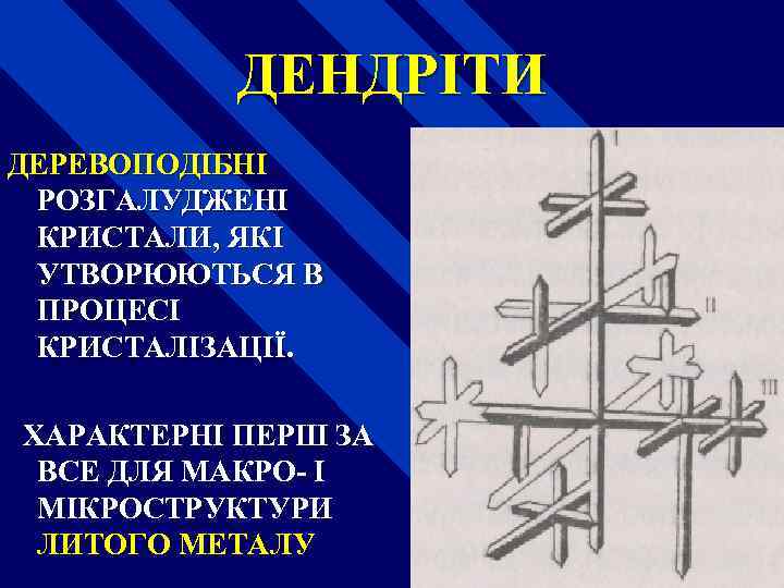 ДЕНДРІТИ ДЕРЕВОПОДІБНІ РОЗГАЛУДЖЕНІ КРИСТАЛИ, ЯКІ УТВОРЮЮТЬСЯ В ПРОЦЕСІ КРИСТАЛІЗАЦІЇ. ХАРАКТЕРНІ ПЕРШ ЗА ВСЕ ДЛЯ