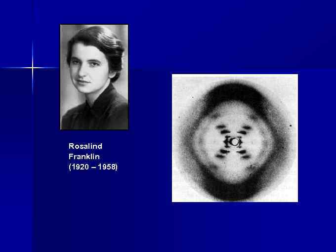 Rosalind Franklin (1920 – 1958) 