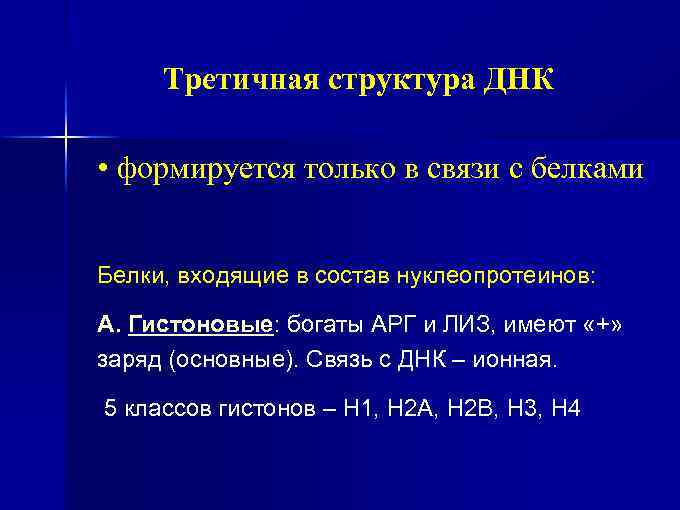 Третичная структура ДНК • формируется только в связи с белками Белки, входящие в состав