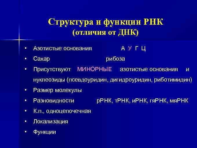 Структура и функции РНК (отличия от ДНК) • Азотистые основания • Сахар • Присутствуют