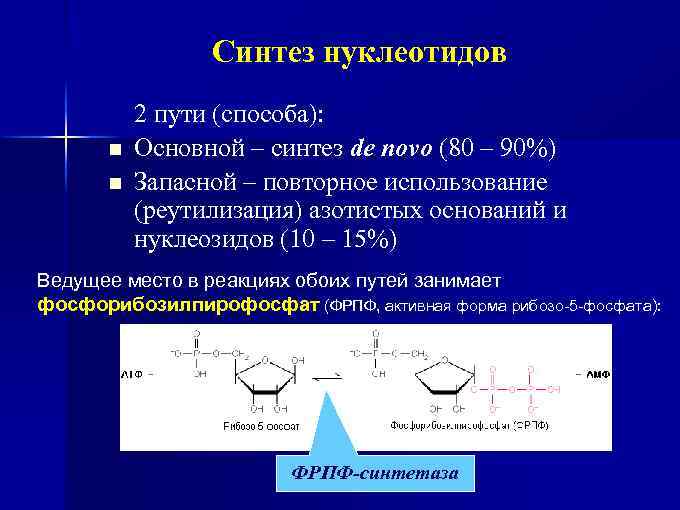 Основной синтез. Неполный гидролиз нуклеопротеинов. Гидролиз нуклеопротеинов биохимия. Синтез нуклеопротеидов. Полный гидролиз нуклеопротеинов.