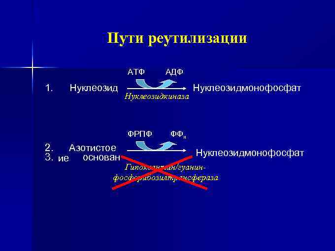 Пути реутилизации АТФ 1. Нуклеозидкиназа ФРПФ 2. Азотистое 3. ие основан АДФ Нуклеозидмонофосфат ФФн