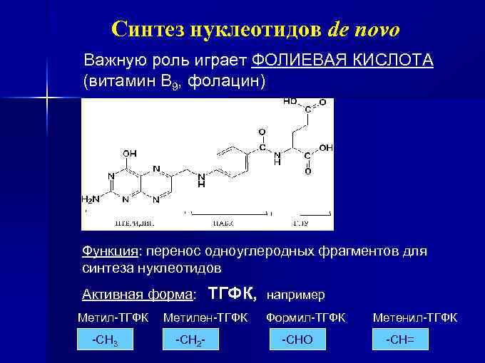 Синтез нуклеотидов de novo Важную роль играет ФОЛИЕВАЯ КИСЛОТА (витамин В 9, фолацин) Функция: