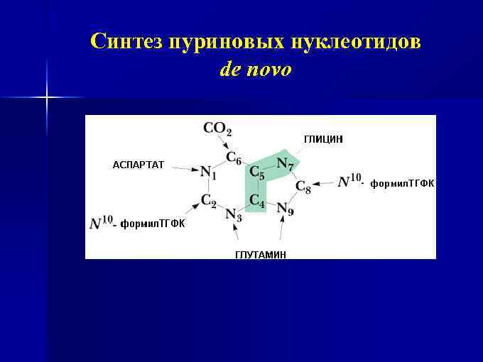 Синтез пуриновых нуклеотидов de novo 