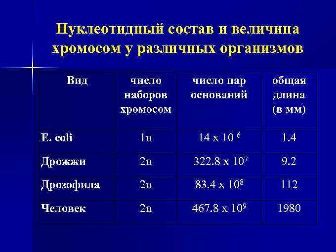 Нуклеотидный состав и величина хромосом у различных организмов Вид число наборов хромосом число пар