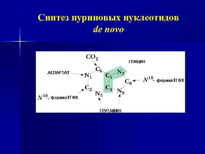 Синтез пуриновых оснований схема