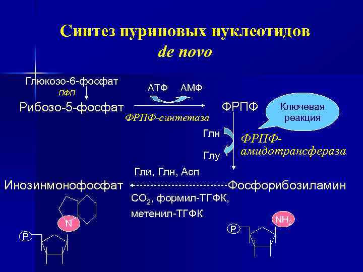 Синтез проект ооо