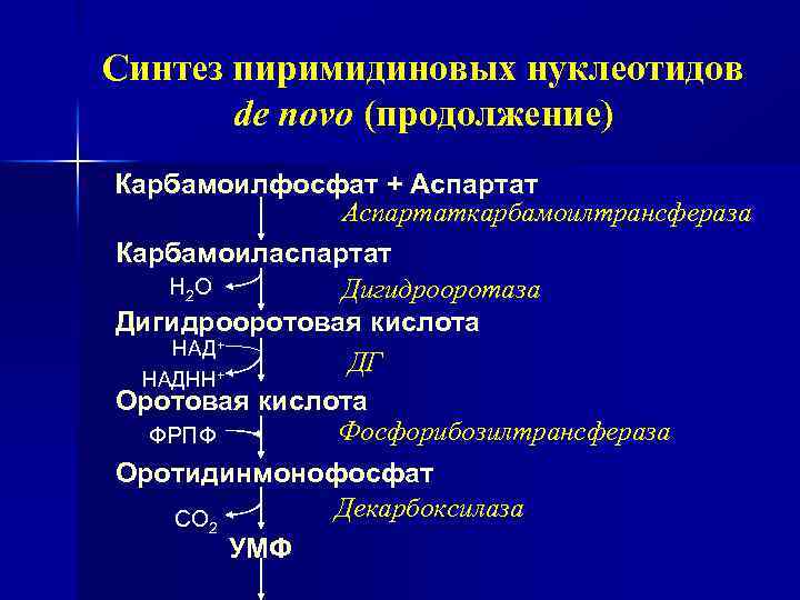 Синтез пиримидиновых нуклеотидов de novo (продолжение) Карбамоилфосфат + Аспартаткарбамоилтрансфераза Карбамоиласпартат Н 2 О Дигидрооротаза