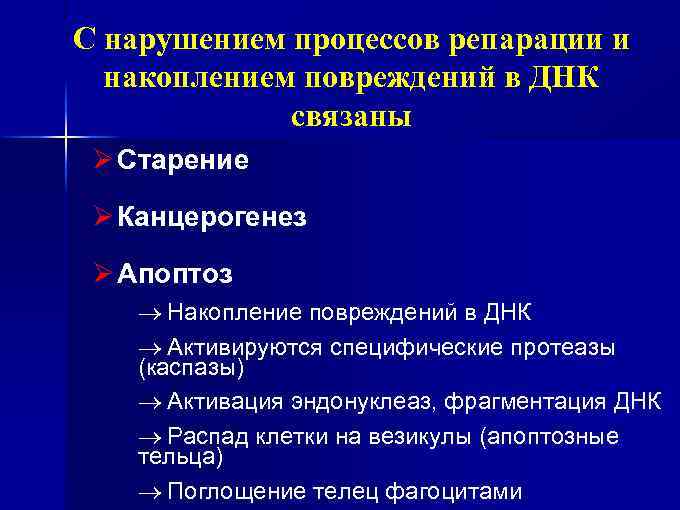 C нарушением процессов репарации и накоплением повреждений в ДНК связаны Ø Старение Ø Канцерогенез