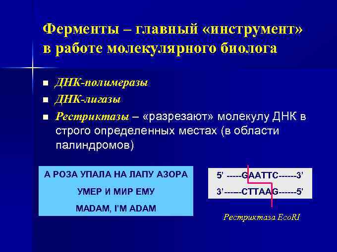 Ферменты – главный «инструмент» в работе молекулярного биолога n n n ДНК-полимеразы ДНК-лигазы Рестриктазы