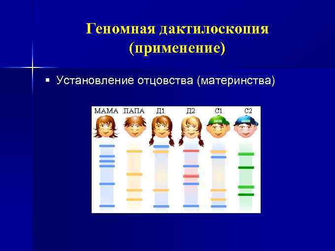 Геномная дактилоскопия (применение) § Установление отцовства (материнства) 