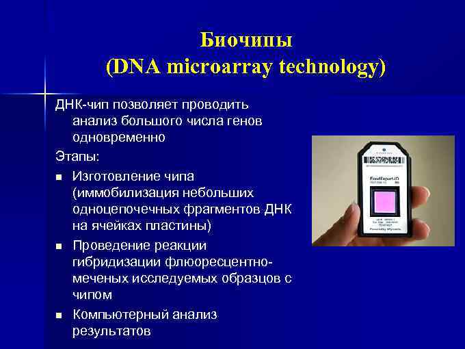 Днк микрочипы презентация