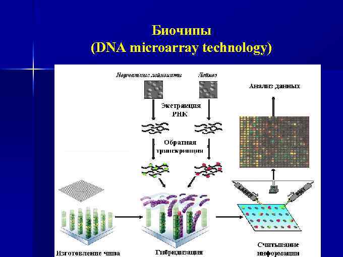 Биочипы (DNA microarray technology) 