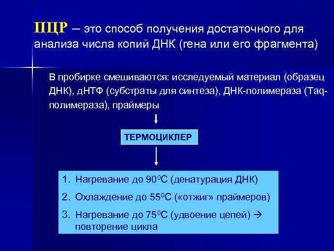 ПЦР – это способ получения достаточного для анализа числа копий ДНК (гена или его