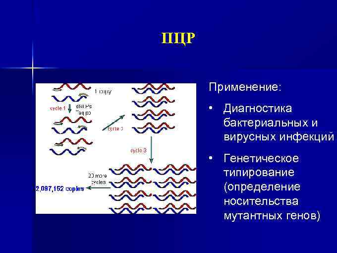 ПЦР Применение: • Диагностика бактериальных и вирусных инфекций • Генетическое типирование (определение носительства мутантных