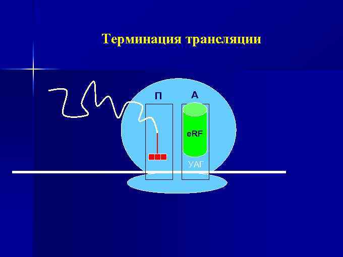 Терминация трансляции П А e. RF УАГ 