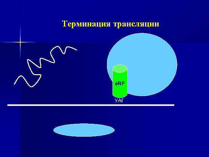 Терминация трансляции e. RF УАГ 