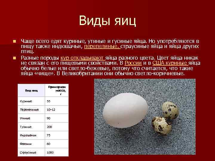 Средний вес яйца первой категории. Куриные яйца,гусиные яйца,индюшиные яйца. Видя яиц. Диаметр куриного яйца. Какой размер у куриного яйца.