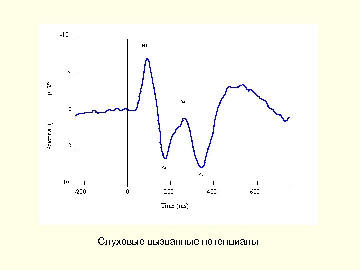 -10 N 1 m V) -5 N 2 Potential ( 0 5 P 2