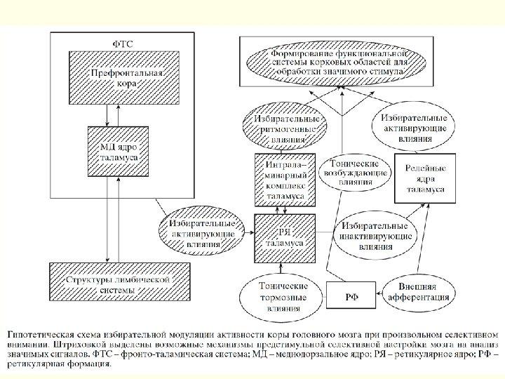 Схемы внимания. Психофизиология памяти схема. Психофизиология внимания схема. Карта схема психофизиология внимания. Функции памяти в психофизиологии.