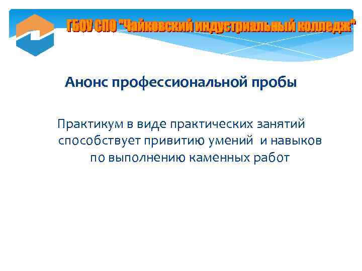 Анонс профессиональной пробы Практикум в виде практических занятий способствует привитию умений и навыков по