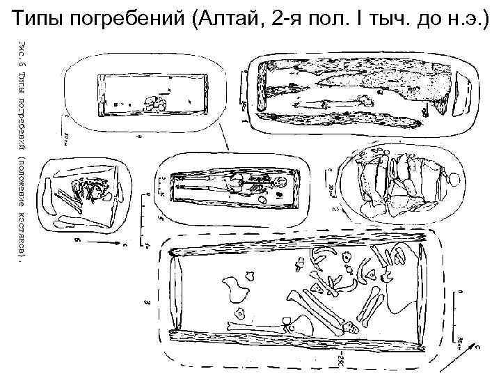 Типы погребений (Алтай, 2 -я пол. I тыч. до н. э. ) 