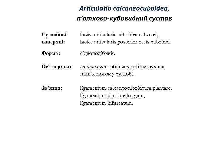 Articulatio calcaneocuboidea, п’ятково-кубовидний сустав Суглобові поверхні: facies articularis cuboidea calcanei, facies articularis posterior ossis