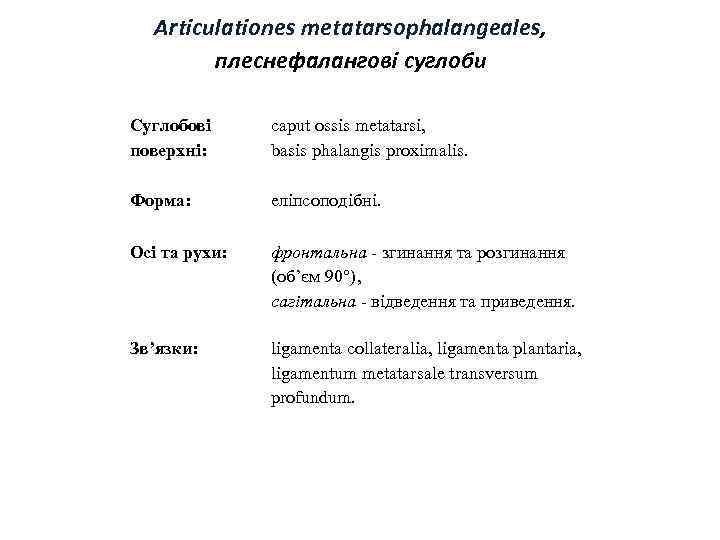 Articulationes metatarsophalangeales, плеснефалангові суглоби Суглобові поверхні: caput ossis metatarsi, basis phalangis proximalis. Форма: еліпсоподібні.