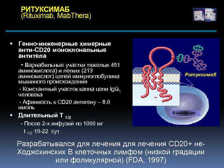 РИТУКСИМАБ (Rituximab, Mab. Thera) Генно-инженерные химерные анти-CD 20 моноклональные антитела - Вариабильные участки тяжелых