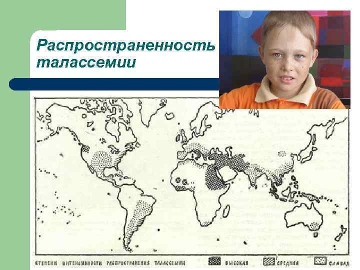 Распространенность талассемии 