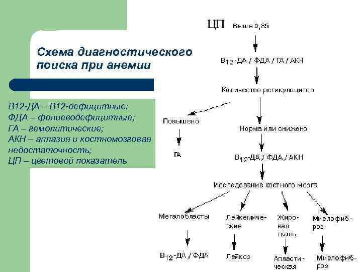 Схема диагностического поиска