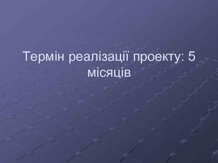 Термін реалізації проекту: 5 місяців 