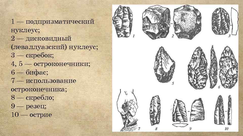 1 — подпризматический нуклеус; 2 — дисковидный (леваллуазский) нуклеус; 3 — скребок; 4, 5