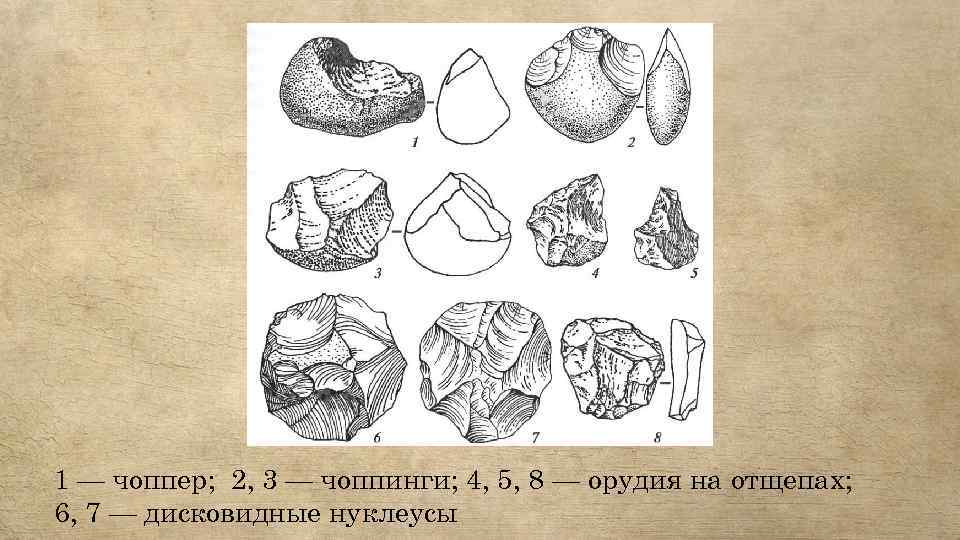 1 — чоппер; 2, 3 — чоппинги; 4, 5, 8 — орудия на отщепах;