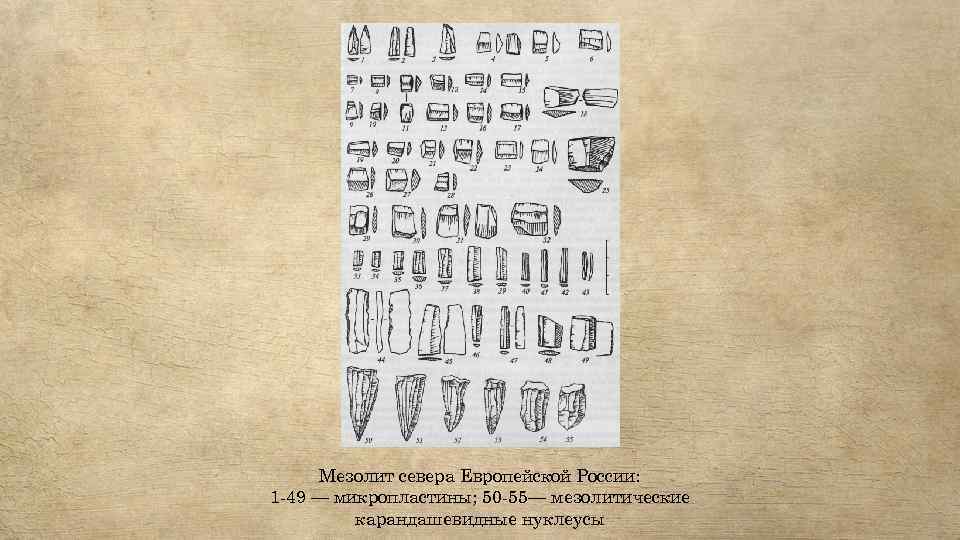 Мезолит севера Европейской России: 1 -49 — микропластины; 50 -55— мезолитические карандашевидные нуклеусы 