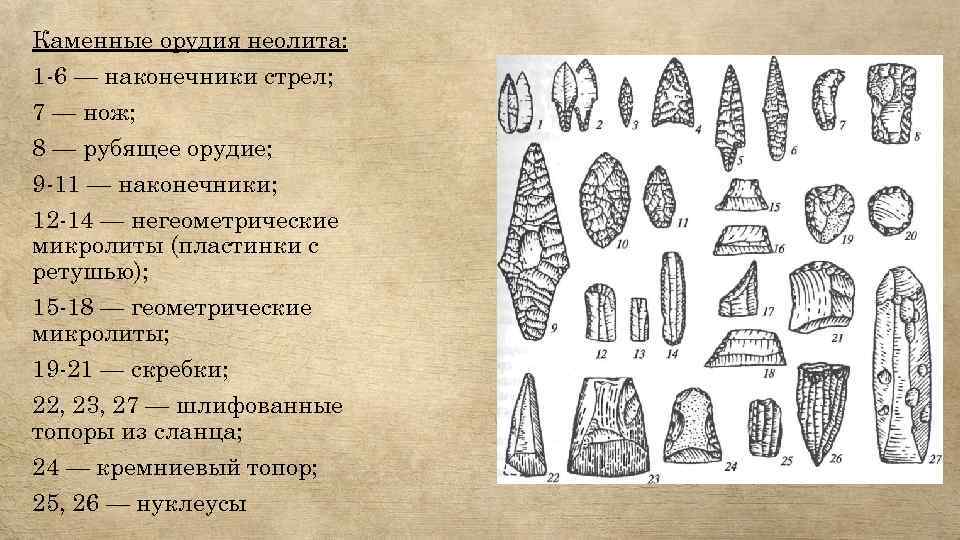 Каменные орудия неолита: 1 -6 — наконечники стрел; 7 — нож; 8 — рубящее